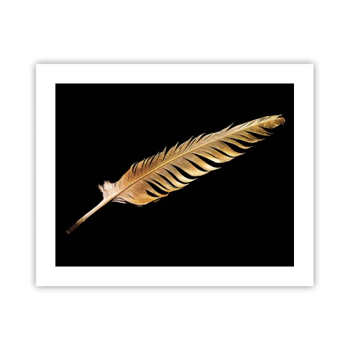 Affiche - Poster - Sans porte-plume - 50x40 cm