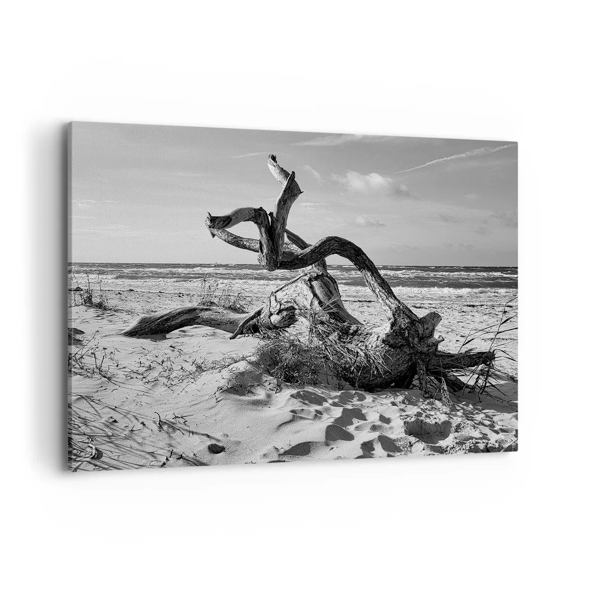 Impression sur toile - Image sur toile - Paysage noir et blanc avec un arbre mort sur la plage - 100x70cm - Sculpture marine - Décoration murale moderne pour le salon et la chambre ARTTOR