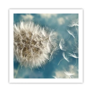 Affiche - Poster - souffle d'ange - 60x60 cm