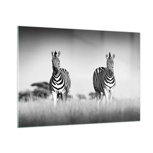 Impression sur verre - Image sur verre - Une paire de zèbres sur un fond d'herbe noir et blanc, représentés dans leur habitat naturel. - 100x70cm - Le monde est bel et bien noir et blanc - Décoration murale moderne pour le salon et la chambre ARTTOR
