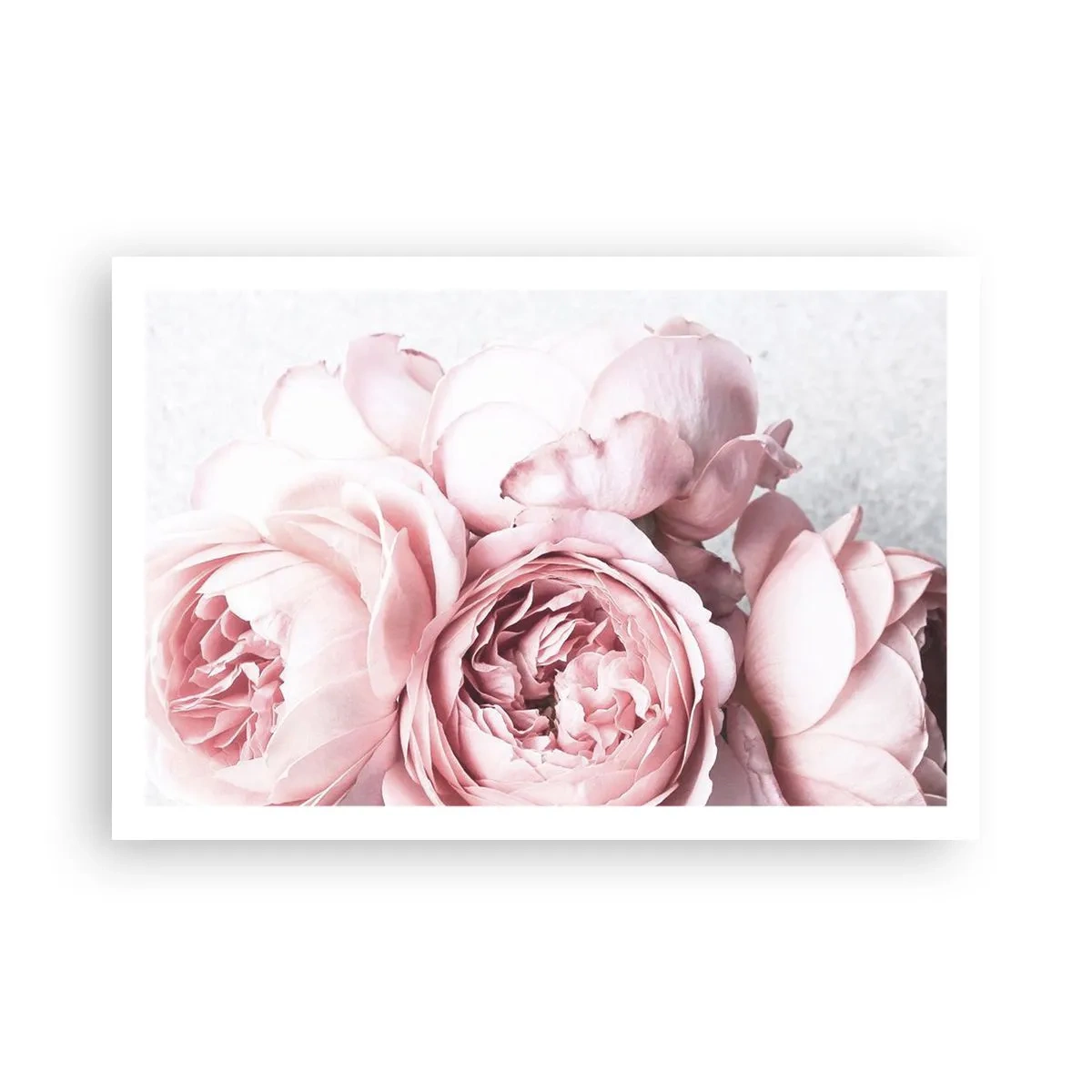 Affiche - Poster - Pour les romantiques - 91x61 cm