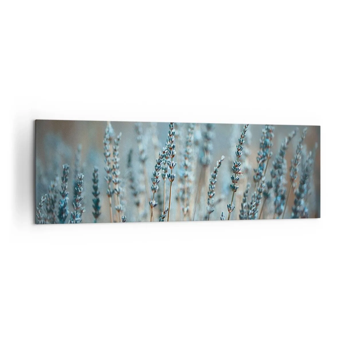 Impression sur toile - Image sur toile - Lavande dans les champs dans des tons pastel subtils - 160x50cm - Tige odorante - Décoration murale moderne pour le salon et la chambre ARTTOR