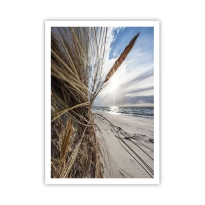 Affiche - Poster - Rencontre des éléments - 70x100 cm