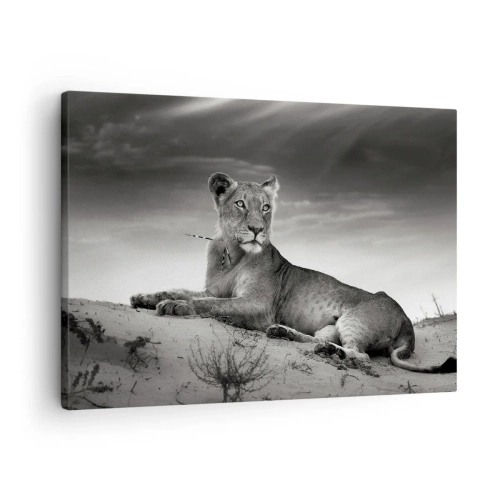 Impression sur toile - Image sur toile - Portrait noir et blanc d'une lionne dans la savane - 70x50cm - La reine du désert reste - Décoration murale moderne pour le salon et la chambre ARTTOR