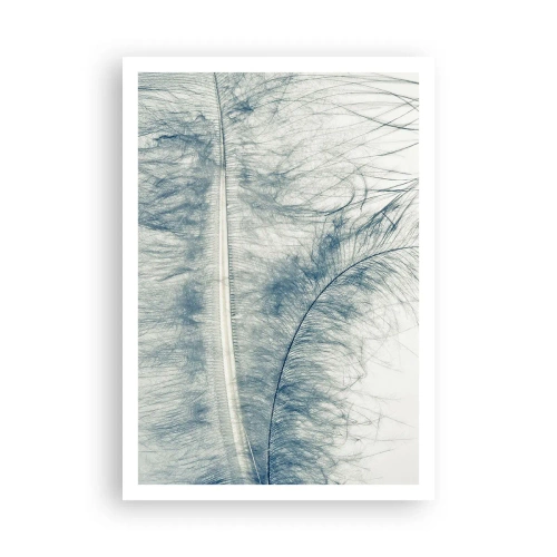 Affiche - Poster - Les sept natures - 70x100 cm