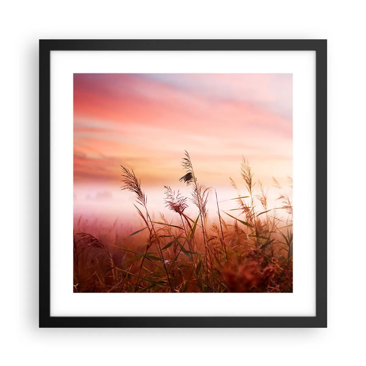 Affiche dans un cadre noir - Poster - Cerfs-volants, pissenlits, vent - 40x40 cm