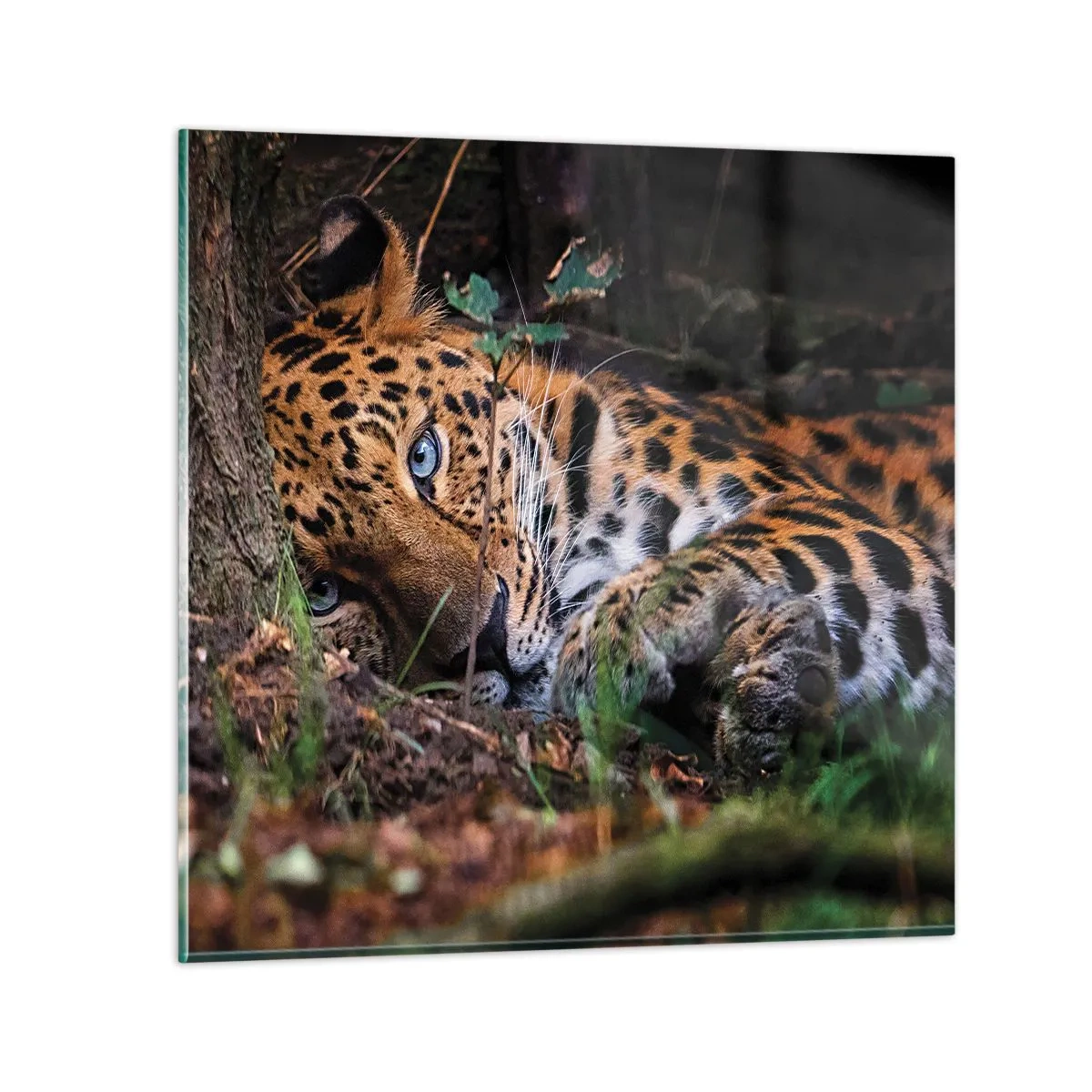 Impression sur verre - Image sur verre - Fais-moi confiance - 30x30 cm