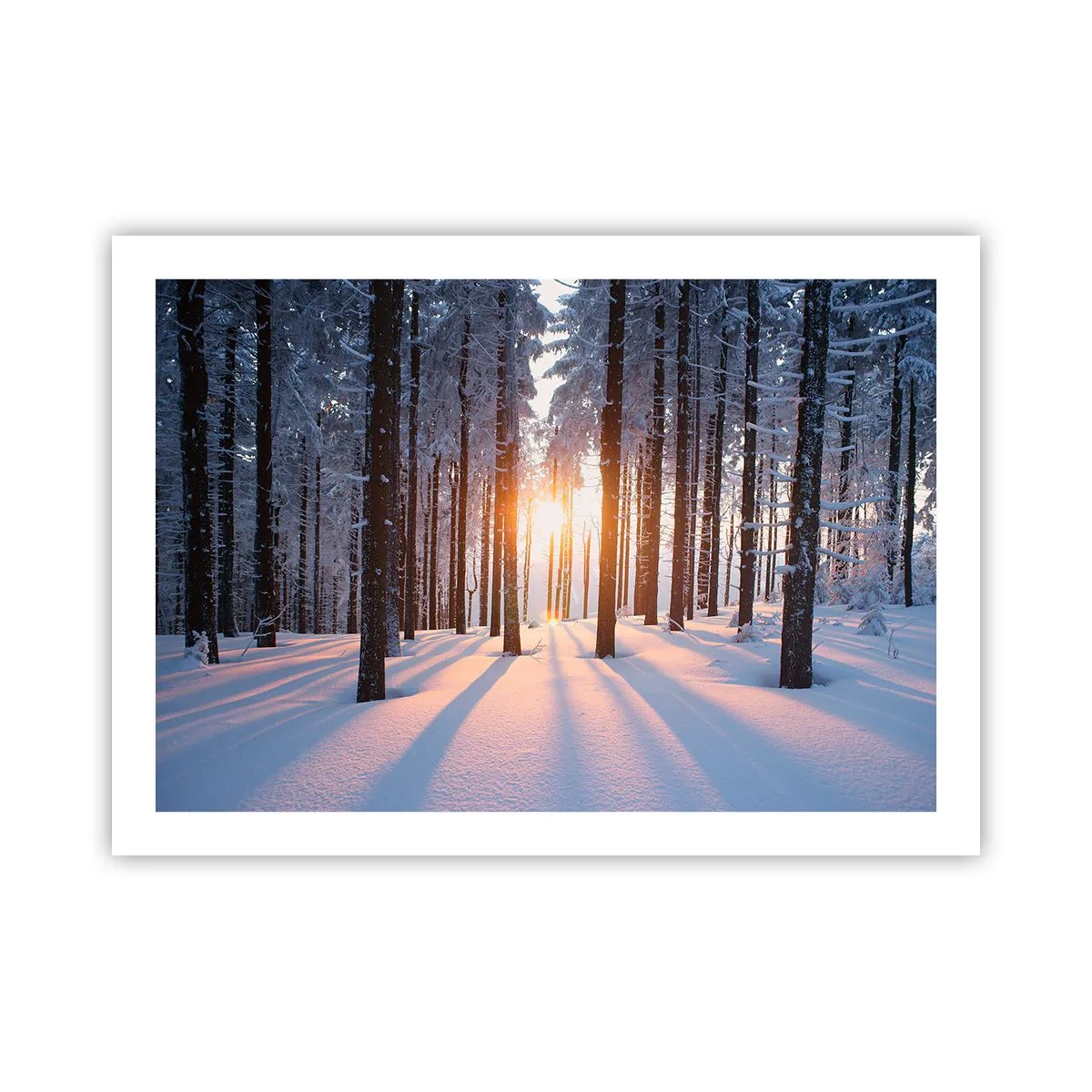 Affiche - Poster - Clairement en noir et blanc - 70x50 cm