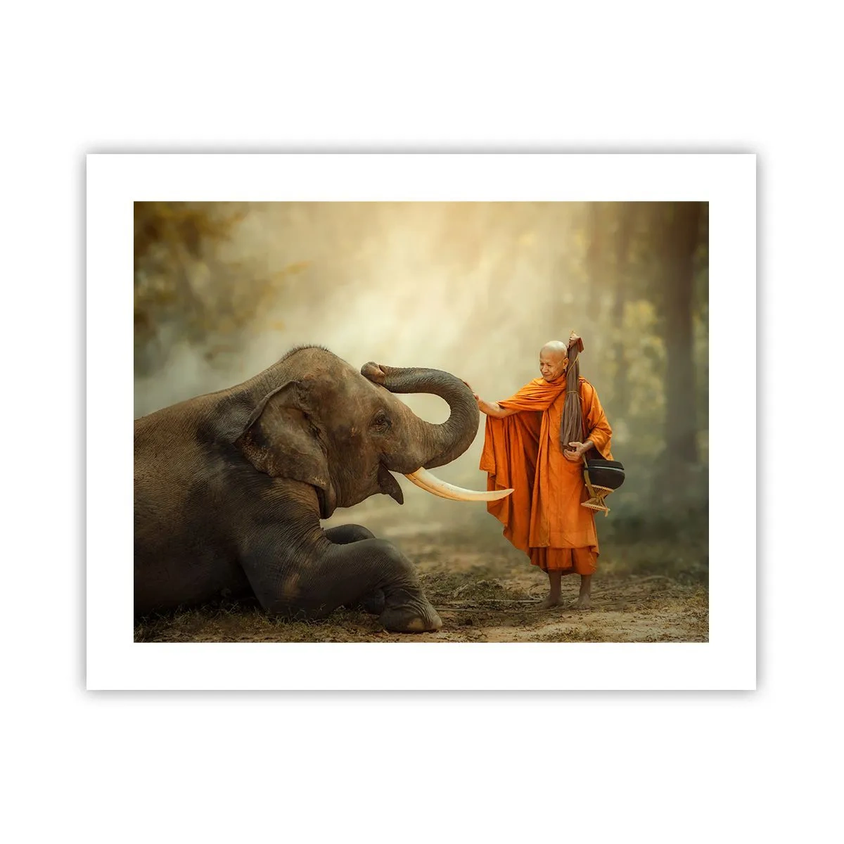 Affiche - Poster - Rencontre en voyageant - 50x40 cm