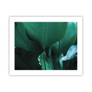 Affiche - Poster - Tourné vers la lumière - 50x40 cm