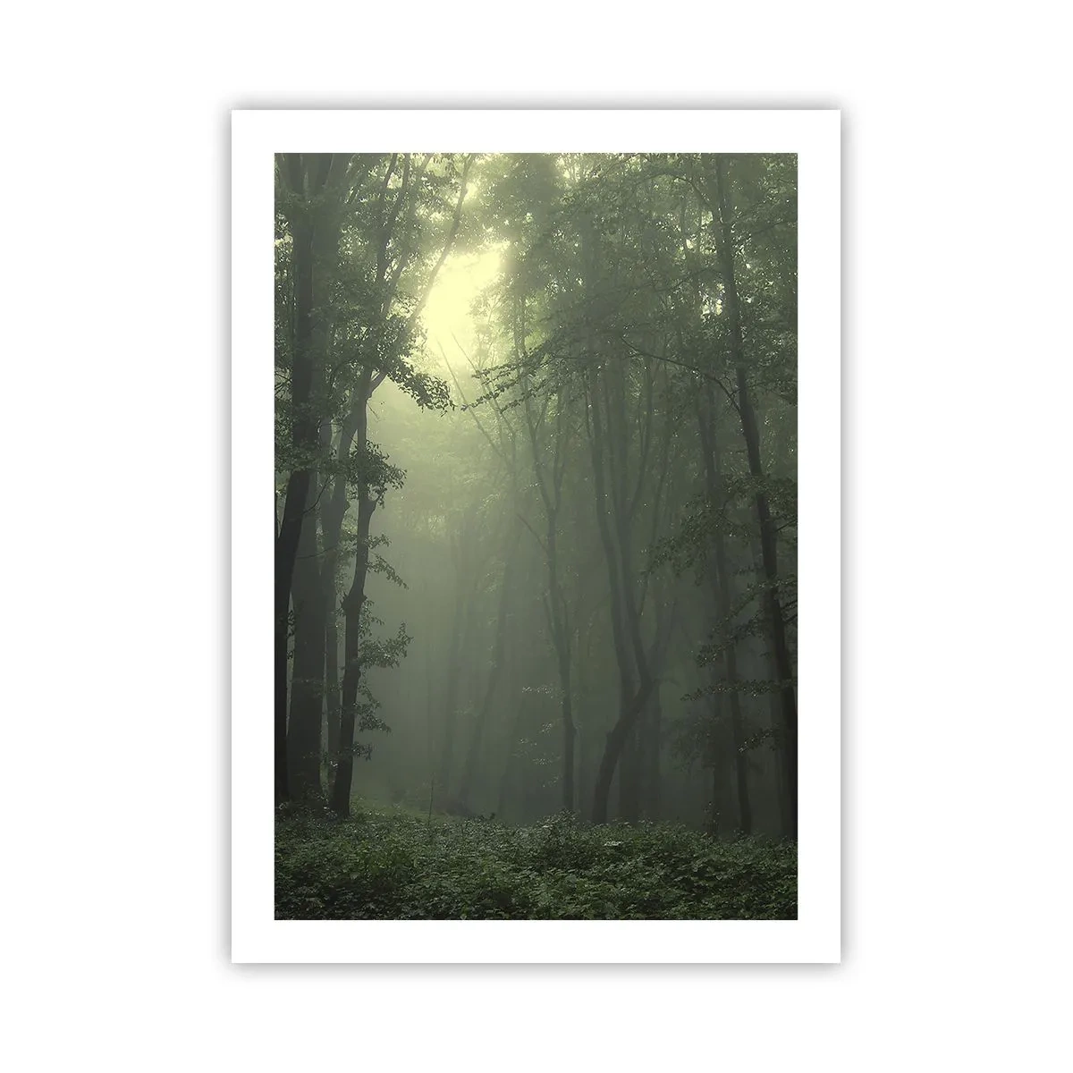 Affiche - Poster - Arbres brumeux dans une forêt verte - 50x70cm - Avant qu'il ne se réveille - Décoration murale moderne pour le salon et la chambre ARTTOR