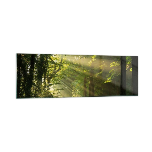 Impression sur verre - Image sur verre - Chemin forestier avec les rayons du soleil qui brillent à travers les arbres - 160x50cm - Moment de forêt - Décoration murale moderne pour le salon et la chambre ARTTOR