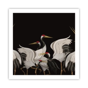 Affiche - Poster - Histoire d'oiseaux - 60x60 cm