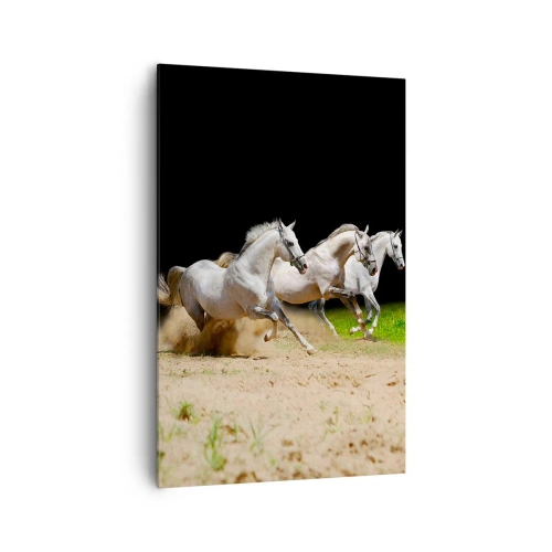Impression sur toile - Image sur toile - Trois chevaux blancs galopant sur le sable et l'herbe - 80x120cm - Trois Grâces - Décoration murale moderne pour le salon et la chambre ARTTOR