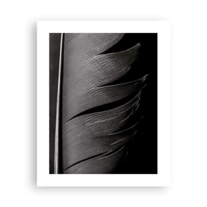 Affiche - Poster - La plume – un design magnifique - 40x50 cm