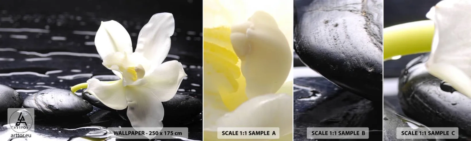 Échantillon De Papier Peint Standard Eco - Étude en noir et blanc - Fleurs, Des pierres, Orchidée - 100x30 cm