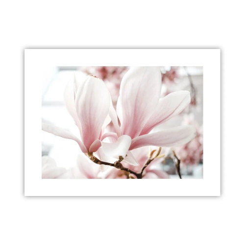 Affiche - Poster - Abondance de tendresse - 40x30 cm