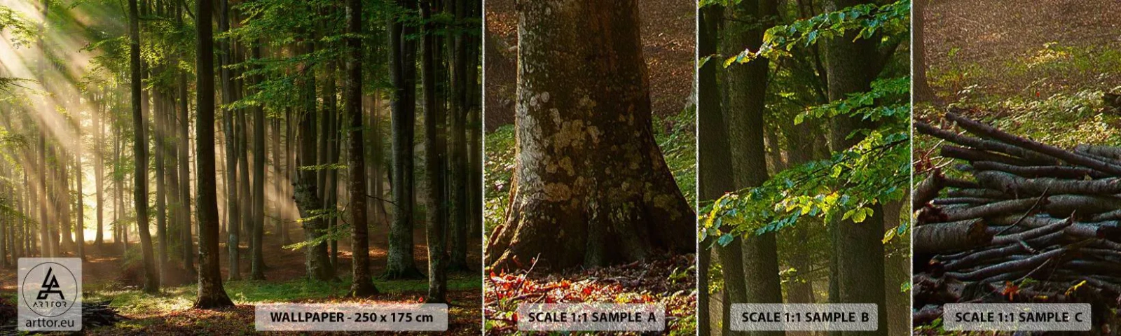 Échantillon de Papier Peint Premium Sand - Rayon d'un matin de printemps - Paysage, Forêt, Parc - 100x30 cm