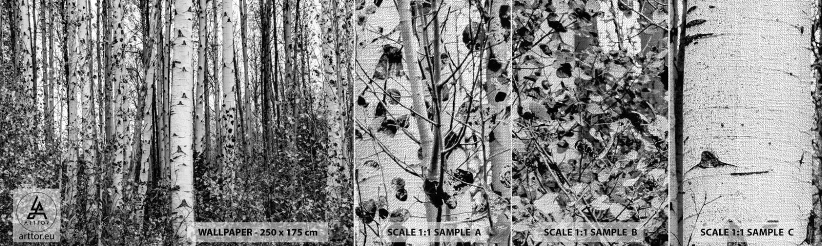 Échantillon de Papier Peint Premium Canvas - Enchevêtrement de bouleau - Forêt, Bouleau, Nature - 100x30 cm