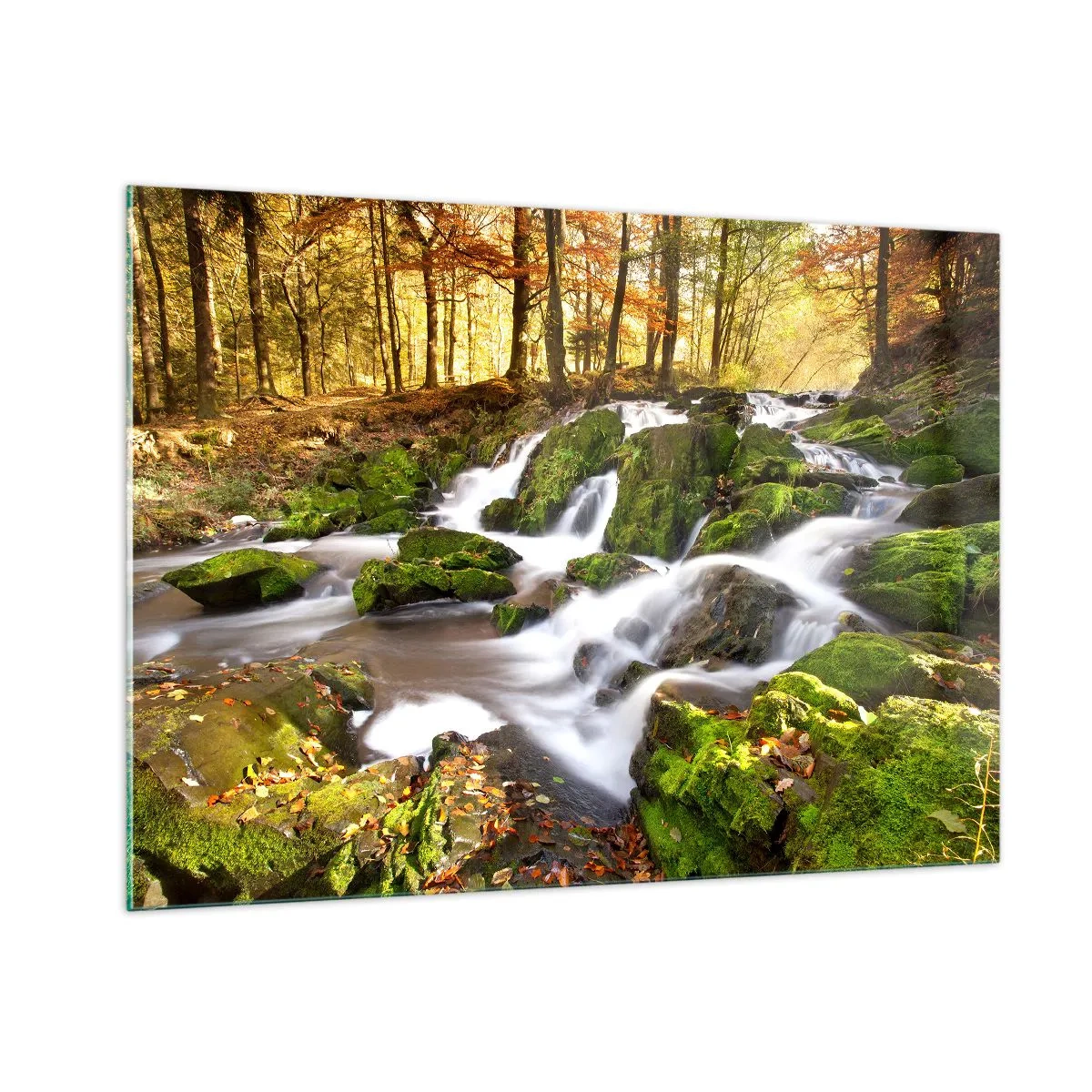 Impression sur verre - Image sur verre - Un ruisseau forestier avec des cascades dans un paysage d'automne - 100x70cm - Rapidement à travers la forêt d'automne - Décoration murale moderne pour le salon et la chambre ARTTOR