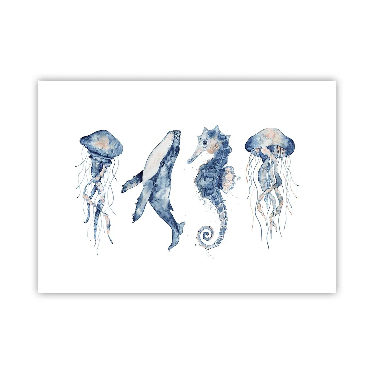 Affiche - Poster - Merveilles de la mer - 70x50 cm