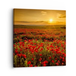 Impression sur toile - Image sur toile - Parmi les vagues des prairies bruissantes, parmi les fleurs du déluge - 30x30 cm