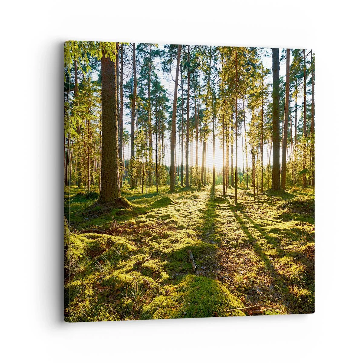 Impression sur toile - Image sur toile - … Derrière les sept forêts - 30x30 cm