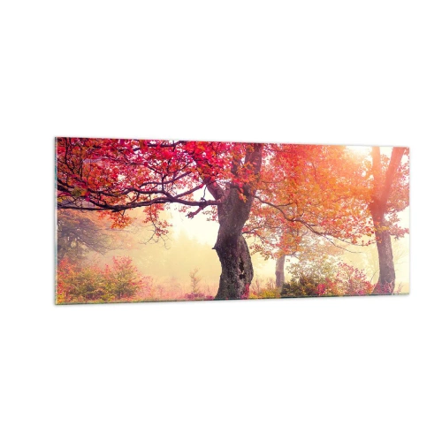 Impression sur verre - Image sur verre - Frénésie de floraison - 100x40 cm