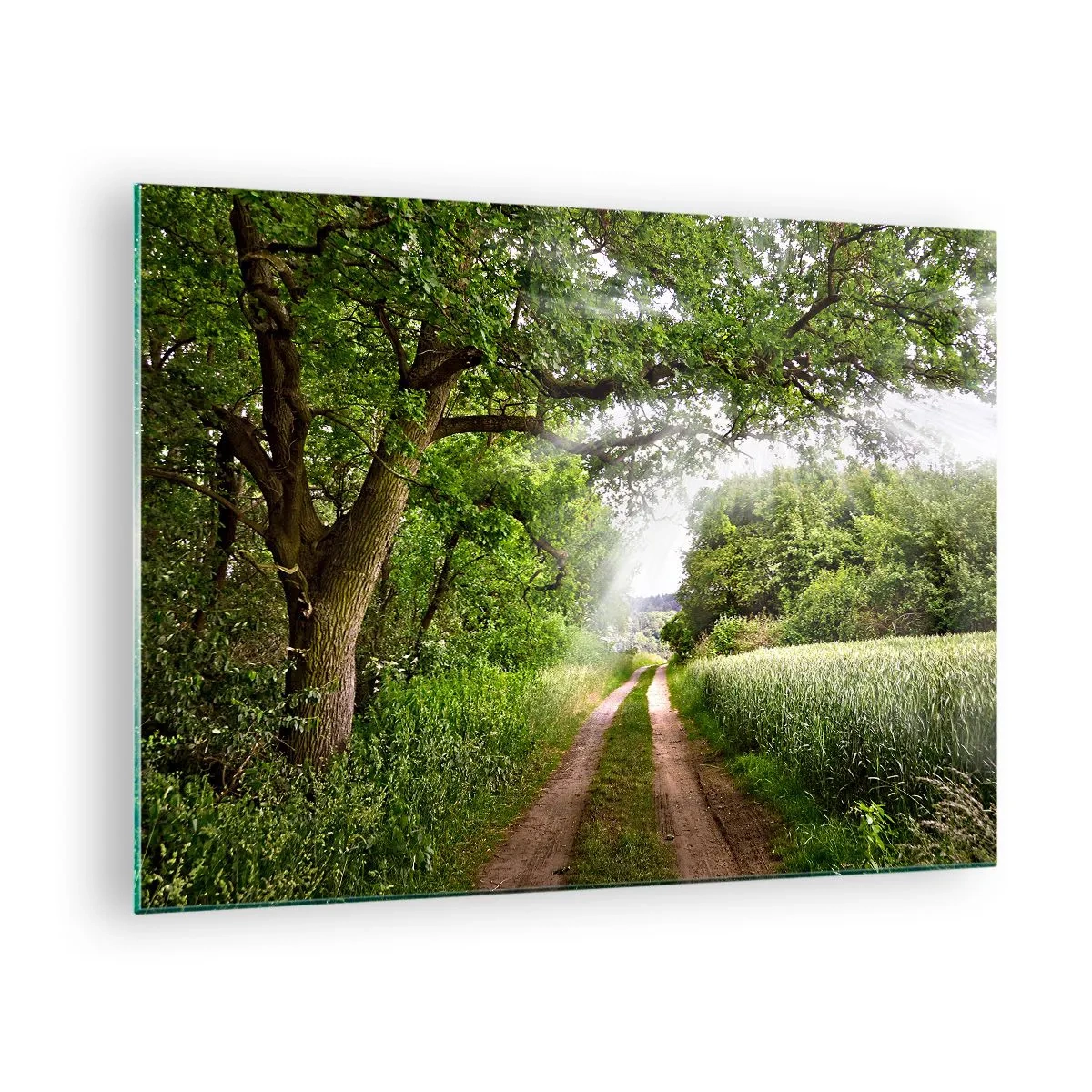 Impression sur verre - Image sur verre - Une route forestière entourée de verdure sous les rayons du soleil - 70x50cm - Et in Arcadia ego - Décoration murale moderne pour le salon et la chambre ARTTOR