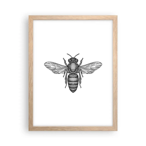 Affiche dans un chêne clair - Poster - Portrait d'insecte - 30x40 cm