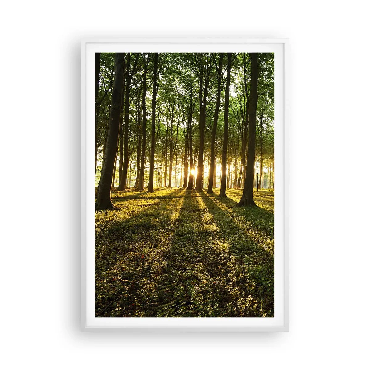 Affiche dans un cadre blanc - Poster - Toutes les photographies de printemps - 70x100 cm
