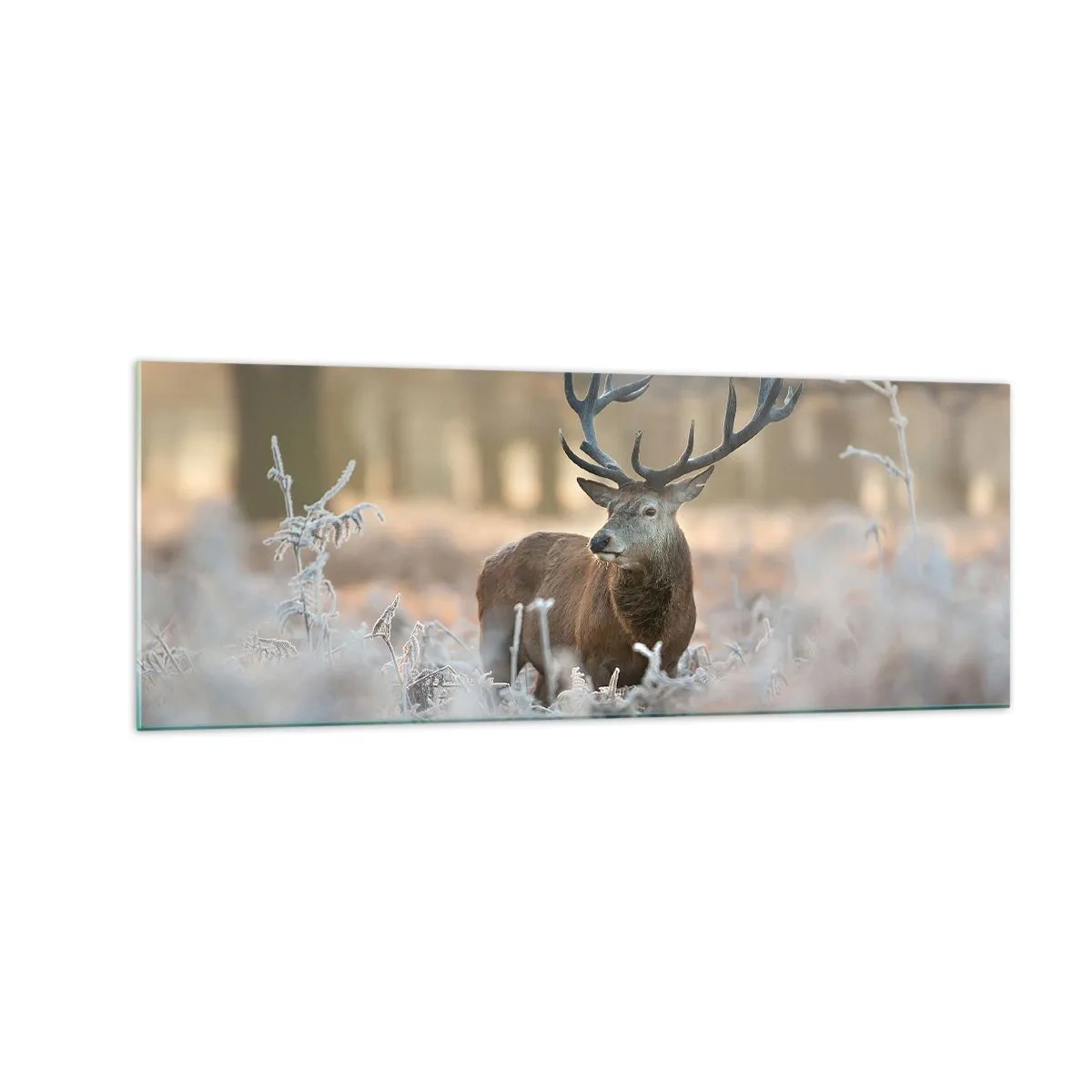 Impression sur verre - Image sur verre - Un cerf dans une clairière givrée dans une forêt hivernale aux couleurs subtiles - 140x50cm - Une matinée animée - Décoration murale moderne pour le salon et la chambre ARTTOR
