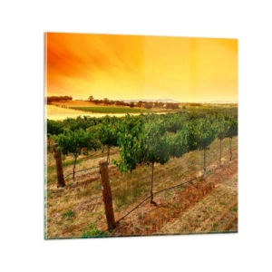 Impression sur verre - Image sur verre - S'abreuver du soleil - 70x70 cm