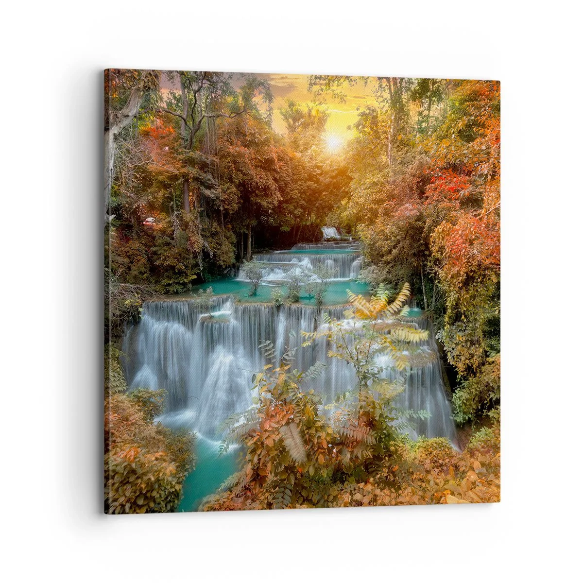 Impression sur toile - Image sur toile - Trésor caché de la forêt - 70x70 cm