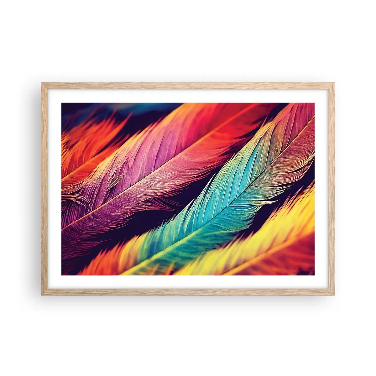 Affiche dans un chêne clair - Poster - Arc-en-ciel de plumes - 70x50 cm