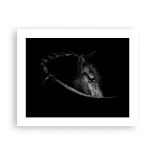 Affiche - Poster - Prince Noir - 50x40 cm