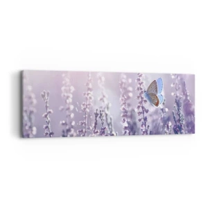 Impression sur toile - Image sur toile - Baiser de papillon - 90x30 cm