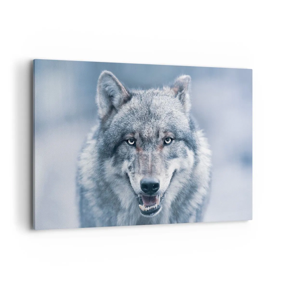 Impression sur toile - Image sur toile - Un loup au regard intense dans un paysage hivernal - 120x80cm - Relèverez-vous le défi ? - Décoration murale moderne pour le salon et la chambre ARTTOR