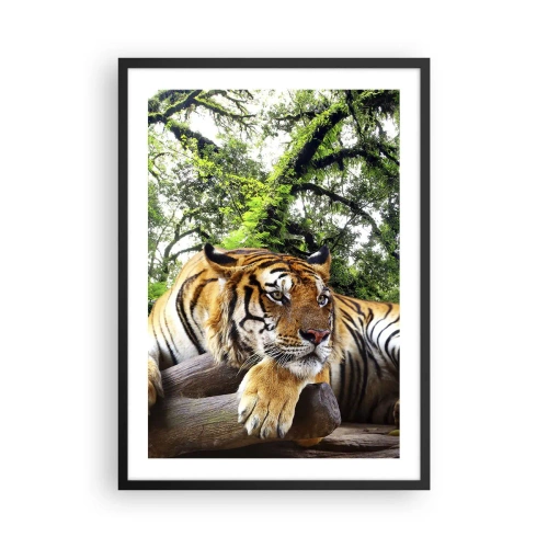 Affiche dans un cadre noir - Poster - Un tigre se reposant parmi les arbres verts - 50x70cm - Cordialement - Décoration murale moderne pour le salon et la chambre ARTTOR