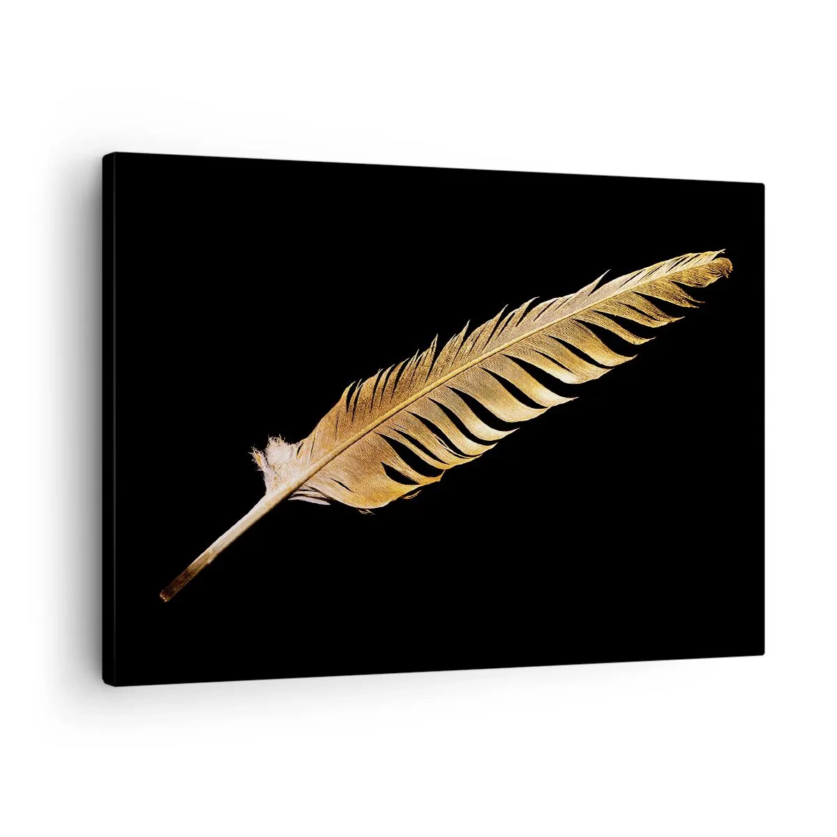 Impression sur toile - Image sur toile - Plume dorée sur fond noir - 70x50cm - Sans porte-plume - Décoration murale moderne pour le salon et la chambre ARTTOR