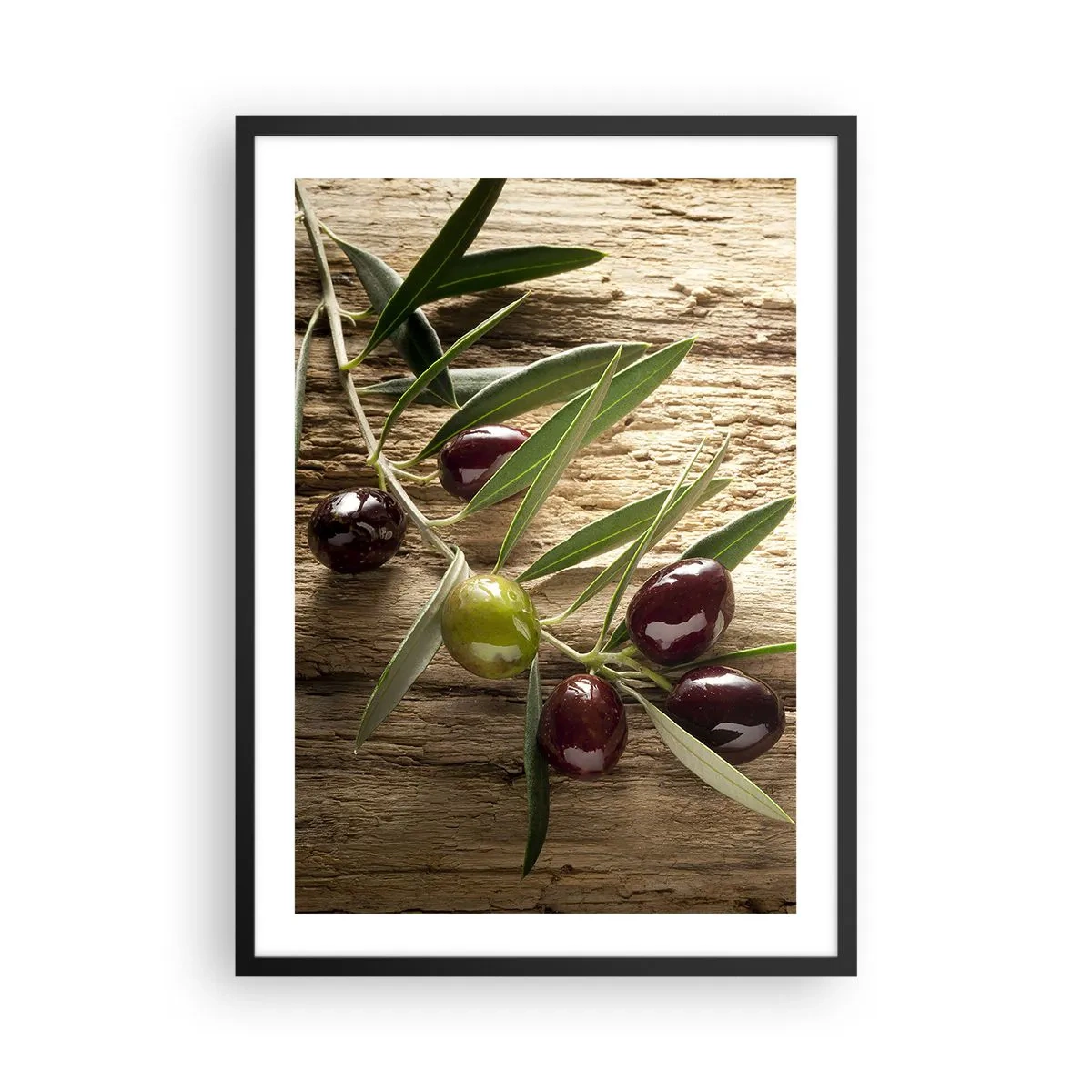 Affiche dans un cadre noir - Poster - Branche d'olivier avec olives vertes et noires - 50x70cm - Directement de la nature - Décoration murale moderne pour le salon et la chambre ARTTOR
