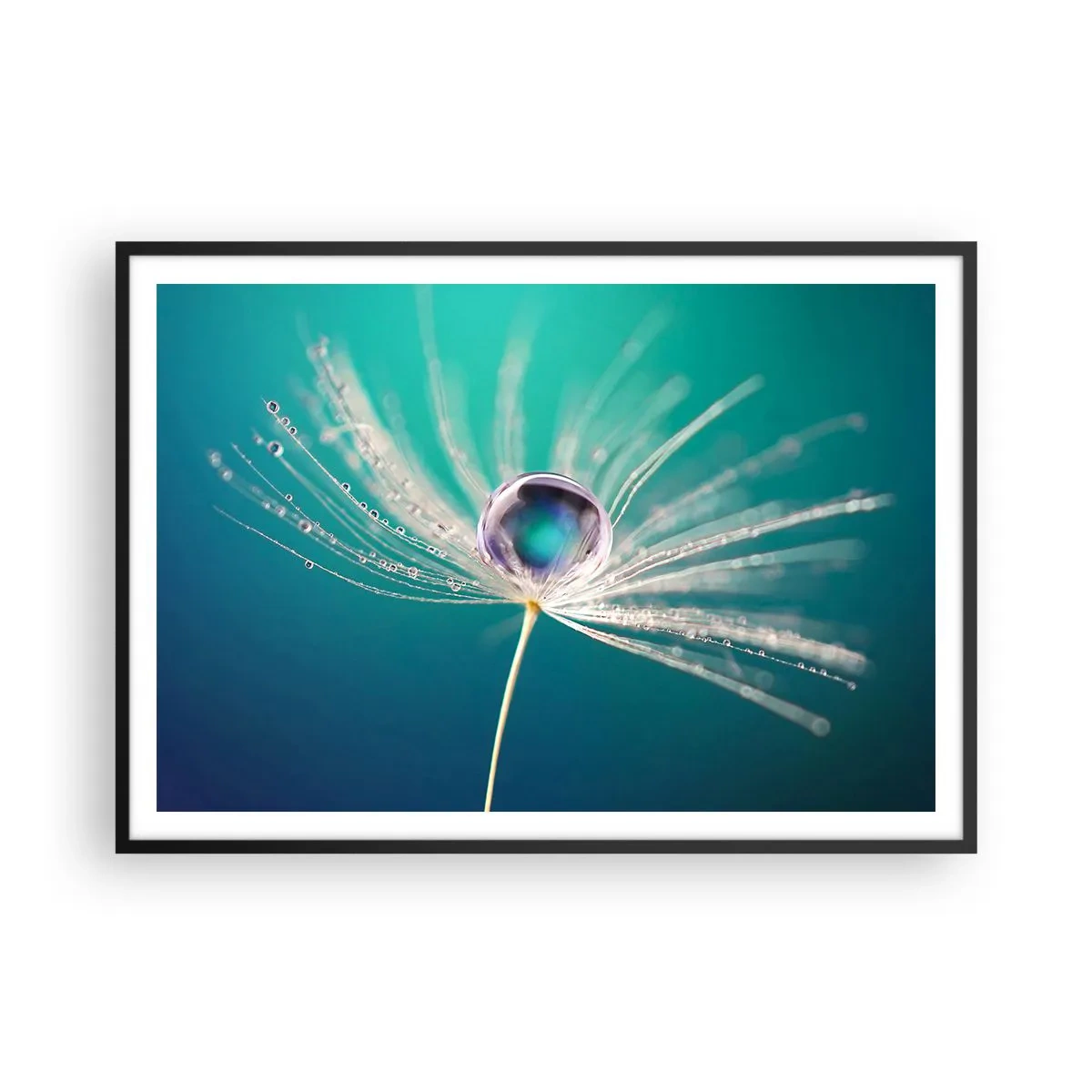 Affiche dans un cadre noir - Poster - Macro d'une goutte d'eau sur une délicate graine de pissenlit - 100x70cm - Moment mystique - Décoration murale moderne pour le salon et la chambre ARTTOR