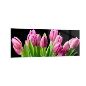 Impression sur verre - Image sur verre - Tulipes roses avec des gouttes de rosée sur fond noir - 140x50cm - Joie printanière des lilas - Décoration murale moderne pour le salon et la chambre ARTTOR
