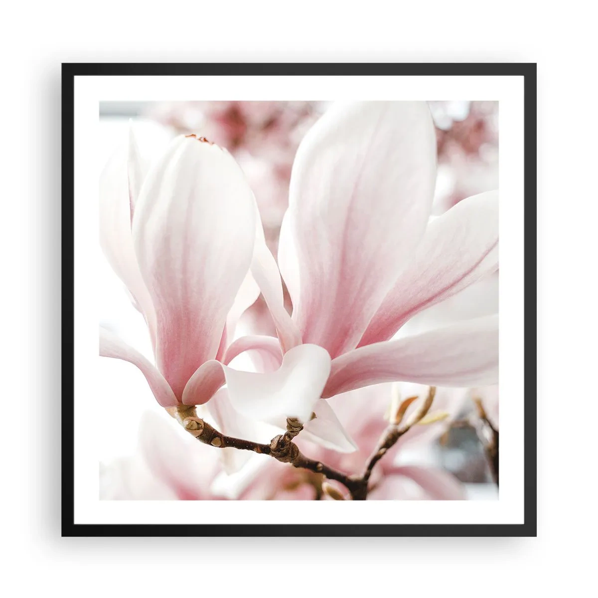 Affiche dans un cadre noir - Poster - Abondance de tendresse - 60x60 cm