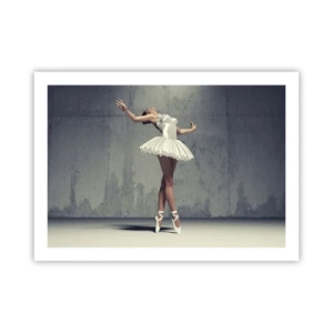 Affiche - Poster - Léger comme un oiseau - 70x50 cm