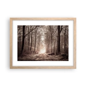 Affiche dans un chêne clair - Poster - Cathédrale de la forêt - 40x30 cm