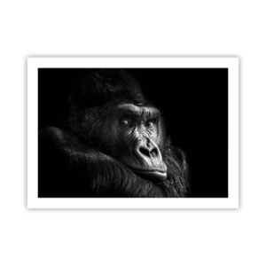 Affiche - Poster - Et qu'est-ce que tu regardes? - 70x50 cm