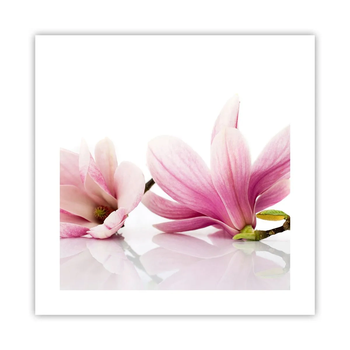 Affiche - Poster - Délicat comme une brise de printemps - 40x40 cm