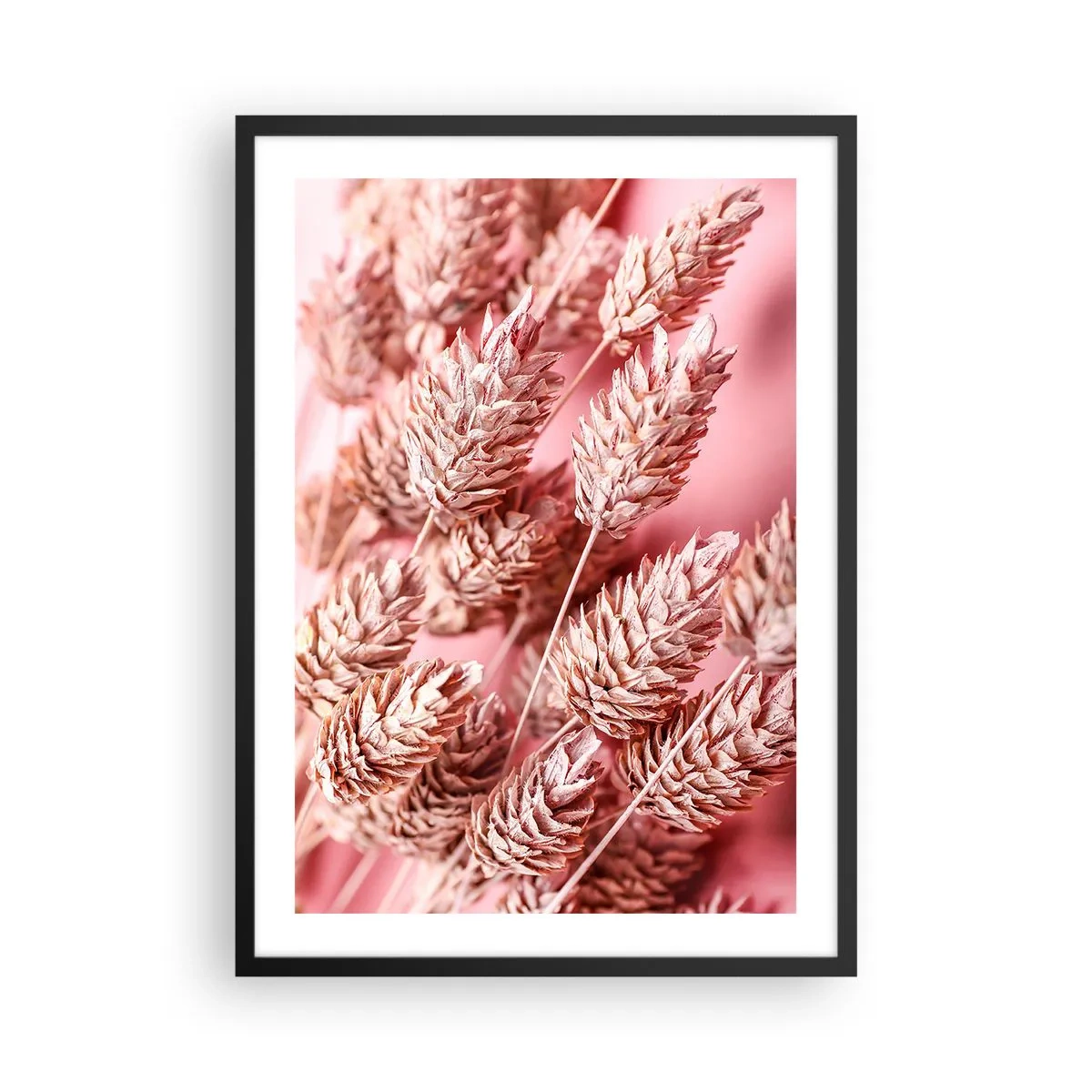 Affiche dans un cadre noir - Poster - Gros plan d'épis de céréales séchés sur fond rose - 50x70cm - Une cascade florale en rose - Décoration murale moderne pour le salon et la chambre ARTTOR