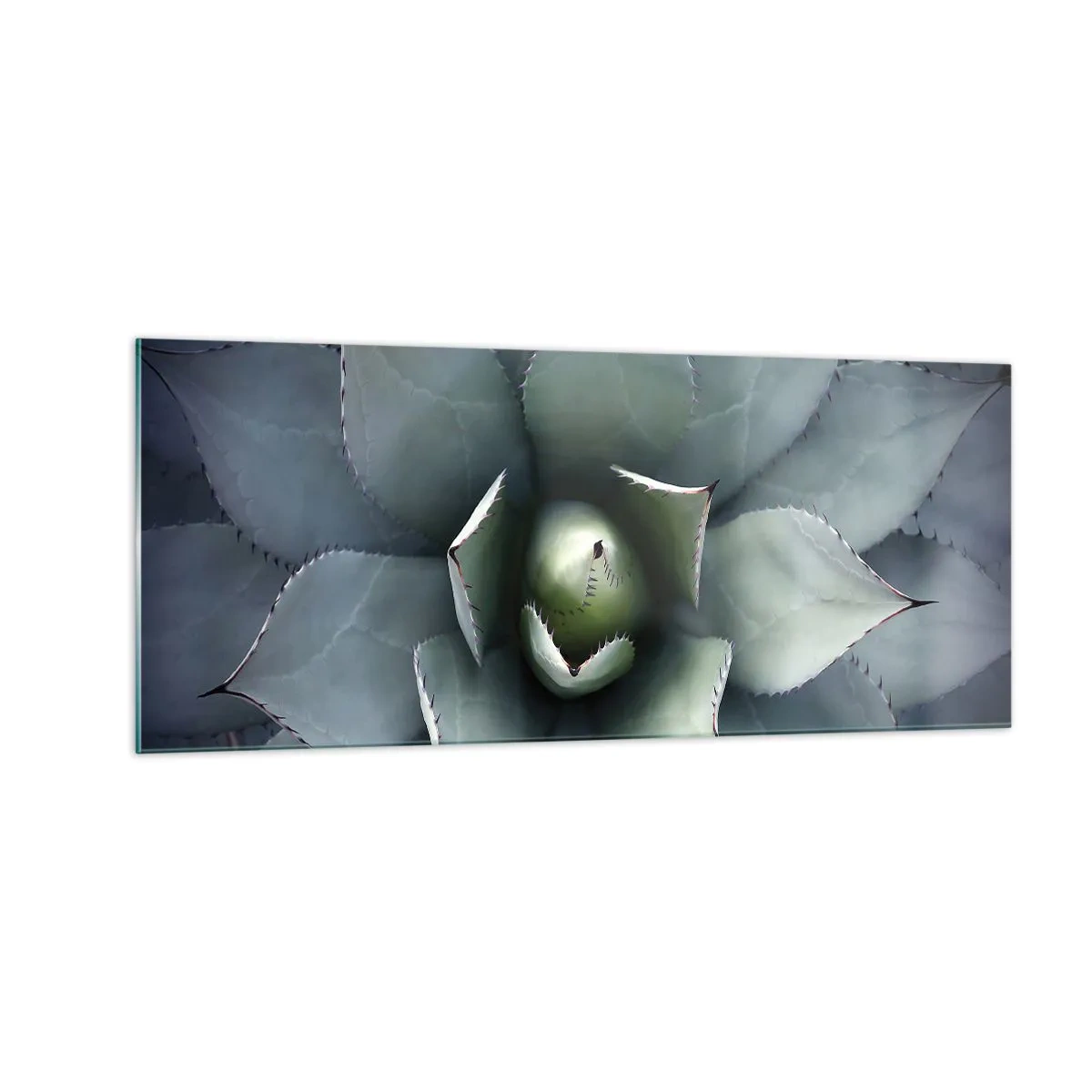Impression sur verre - Image sur verre - Wabi et observe - 100x40 cm